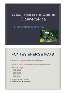 BE066-2010 (1) Bioenergetica