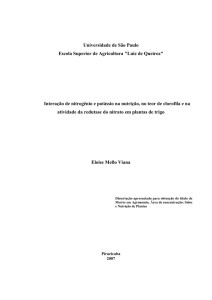 Interação de nitrogênio e potássio na nutrição, no teor de clorofila e