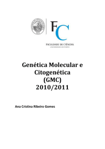 Genética Molecular e Citogenética (GMC) 2010/2011