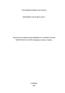 Maturação, superação de dormência e conservação de sementes