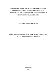 Capacidade de absorção de fósforo pela soja e por plantas de