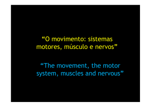 O movimento, sistemas motores, m&uacute;sculo e nervos &ndash; parte 1