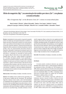 na amenização da toxidez por zinco (Zn2+)