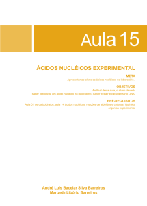 ácidos nucléicos experimental