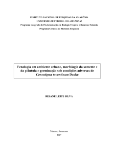 Fenologia em ambiente urbano, morfologia da semente e da