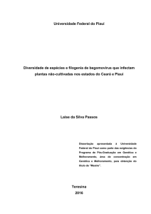 Diversidade de espécies e filogenia de begomovírus que infectam