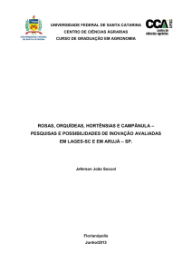 ROSAS, ORQUÍDEAS, HORTÊNSIAS E CAMPÂNULA