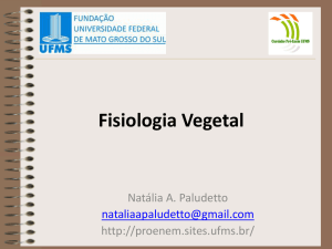 0 Fisiologia Vegetal