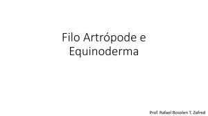 Filo Arthropoda e Equinoderma