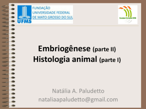 Embriogênese (parte II) Histologia animal