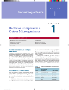 Bactérias Comparadas a Outros Microrganismos