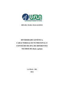 TESE_Diversidade genética, caracterização nutricional e