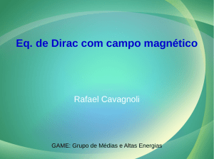 Equação de Dirac com campo magnético