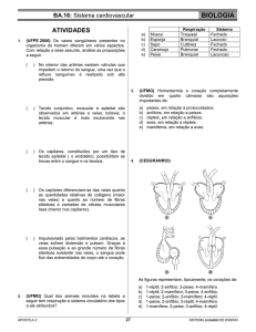 BA.16 Sistema cardiovascular