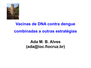 Vacinas de DNA contra dengue combinadas a outras estratégias