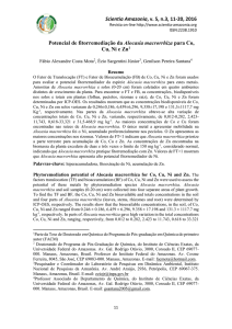 Phytoremediation potential of Alocasia macrorrhiza for Co, Cu, Ni