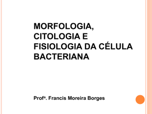 Morfologia, Citologia e Fisiologia da célula bacteriana