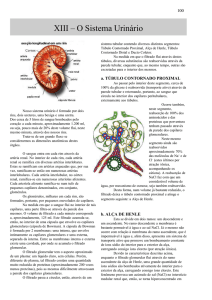 Anatomofisiologia Martin.p65