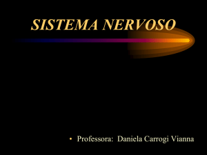 Aula 2