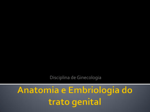 Anatomia e Embriologia