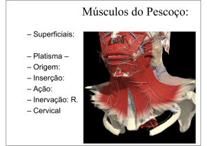 (MIOLOGIA) Músculos da coluna vertebral