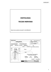 Tecido nervoso Arquivo