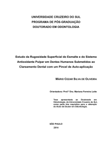 Artigo Completo - Universidade Cruzeiro do Sul
