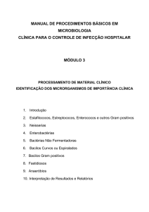 Módulo III - Microbiologia