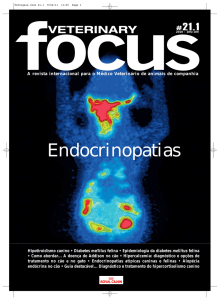 Endocrinopatias