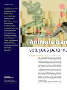 Animais tran Animais tran