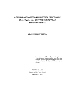 A COMUNIDADE BACTERIANA ENDOFÍTICA E