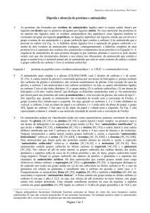 Digestão e absorção de proteínas e aminoácidos