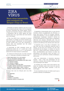 Zica Virus