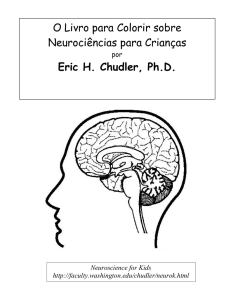 O Livro para Colorir sobre Neuroci&ecirc;ncias para Crian&ccedil;as Eric H