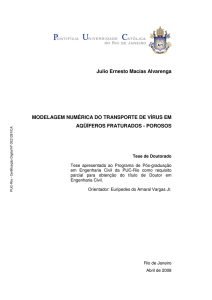 Julio Ernesto Macías Alvarenga MODELAGEM - Maxwell - PUC-Rio