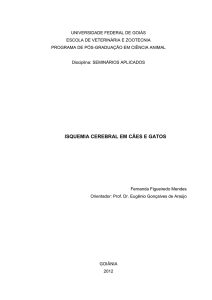 isquemia cerebral em cães e gatos - evz - ppgca