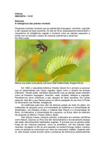 Ciência 08/03/2014 - 13:51 Natureza A inteligência das plantas