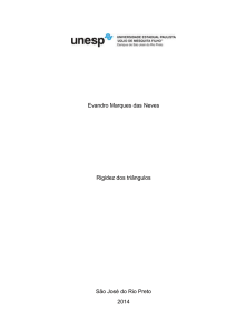 Evandro Marques das Neves Rigidez dos triângulos São José do