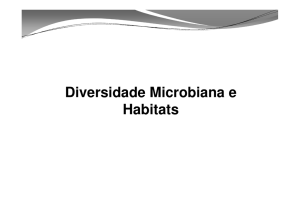 Microbiologia do Solo e Ciclos Biogeoquímicos