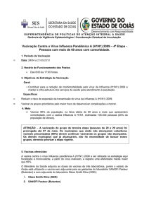 Vacinação Contra o Vírus Influenza Pandêmica A (H1N1) 2009 – 4ª