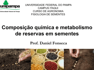 Composição química e metabolismo de reservas em sementes