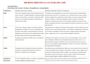 MICRONUTRIENTES NA CULTURA DO CAFÉ.