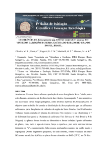 OCORRÊNCIA DE Botryosphaeria spp. EM Vitis - IFRS