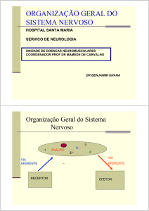 ORGANIZAÇÃO GERAL DO SISTEMA NERVOSO