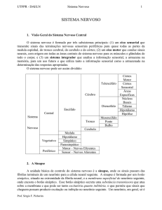 sistema nervoso - P&aacute;ginas Pessoais