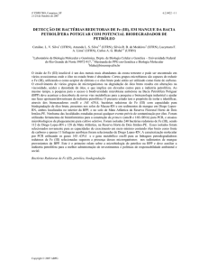 DETECÇÃO DE BACTÉRIAS REDUTORAS DE Fe (III), EM