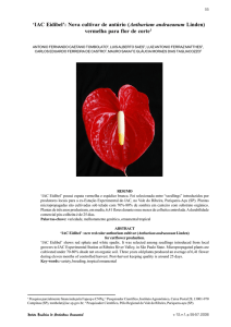 `IAC Eidibel`: Nova cultivar de antúrio (Anthurium andraeanum Linden)
