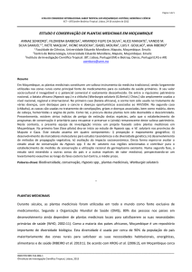 Estudo e conservação de plantas medicinais em Moçambique