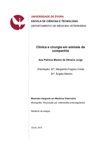 Relatório de estágio clinica e cirurgia em animais de companhia