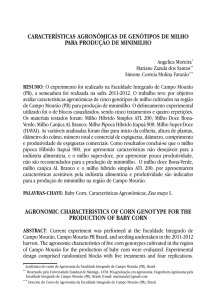 características agronômicas de genótipos de